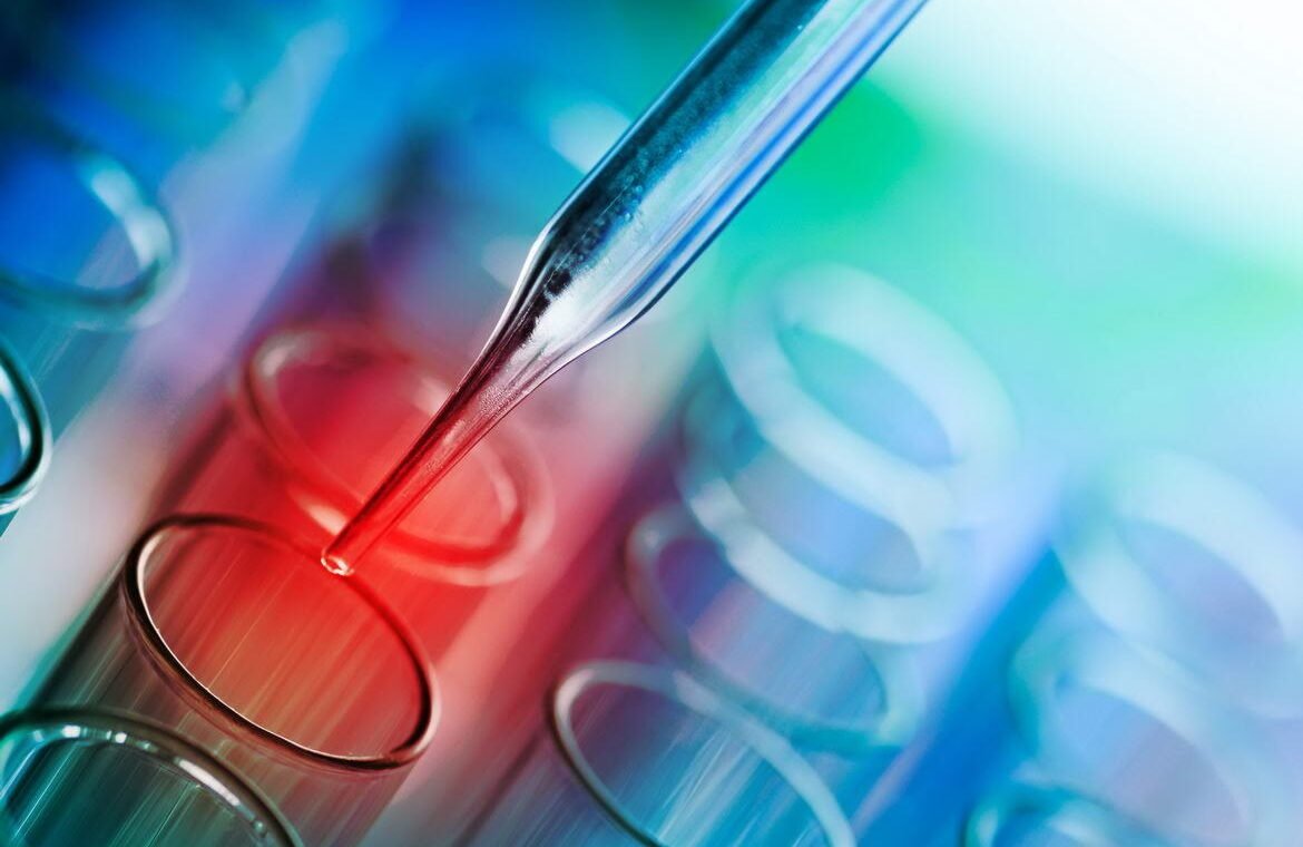 Donec ullamcorper massa et