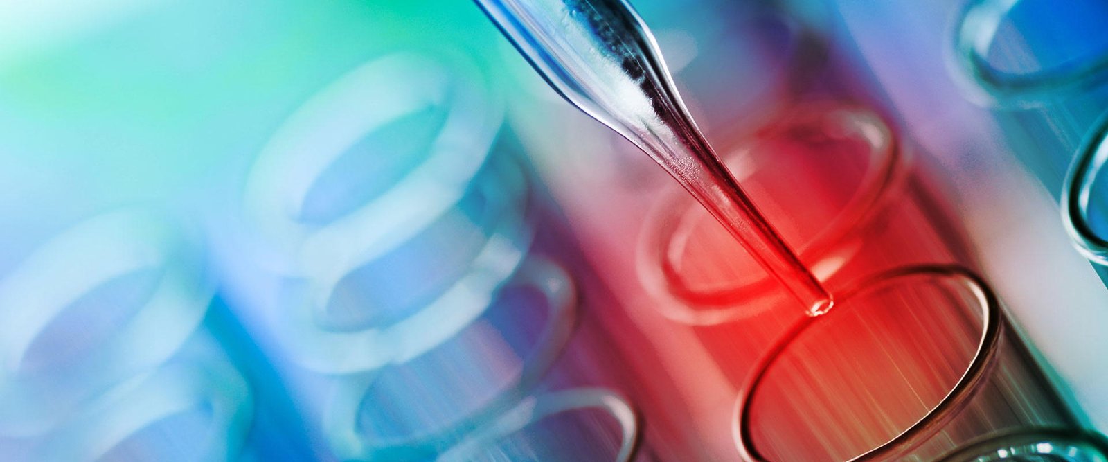 Ship Your Idea - Image 4